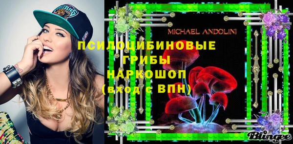 мескалин Заводоуковск
