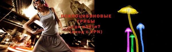 мескалин Заводоуковск