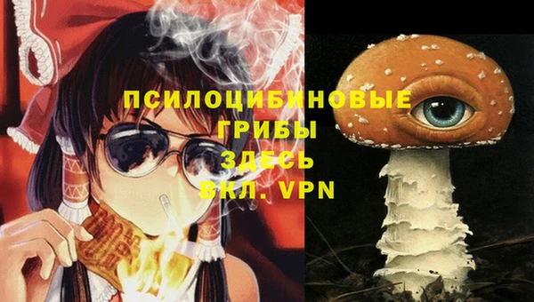 мескалин Заводоуковск