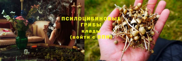 мескалин Заводоуковск