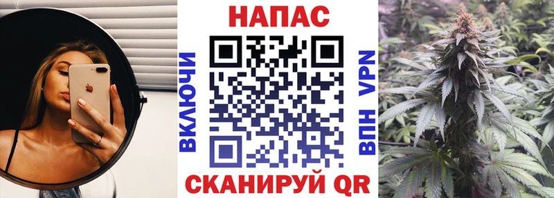 Купить где  Баксан  Бошки Шишки Amnesia 